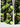 Gothic Plus Size Skull Ice Cream Print Button Pocket Shirt For Men