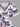 Gothic Plus Size Flower Leaf Skull Butterfly Print Split Pocket A Line Midi Dress