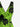 Gothic Skull Tropical Leaf Print Ruffles Split Dress