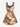 Gothic Plus Size Skulls Moon Plum Blossom Flowers Print Crisscross Cami Dress