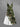 Gothic Plus Size Coconut Tree Skull Tropical Leaf Print Surplice A Line Dress