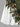 Gothic Plus Size Coconut Tree Skull Tropical Leaf Print Surplice A Line Dress